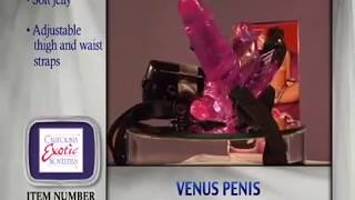 Вибро-бабочка VENUS PENIS SE-0592-14-3