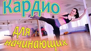 Кардио тренировка для сжигания жира| ДЛЯ НОВИЧКОВ!
