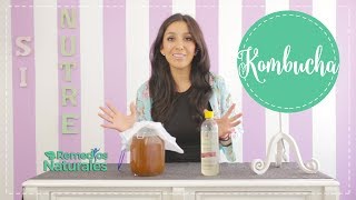 ¿Cómo hacer kombucha?