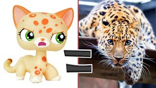LPS in Real Life #5 Littlest Pet Shop Popular Cats and Dogs + More in Real Life | MLP Fever