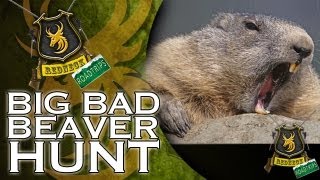 Extreme Airgun Hunting: Hunting Beaver with a Daystate Wolverine .303 big bore airgun