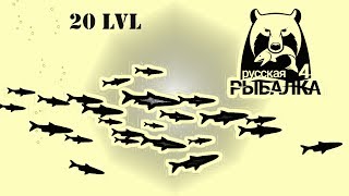 Русская Рыбалка 4. р.Белая. Продолжаем разговор