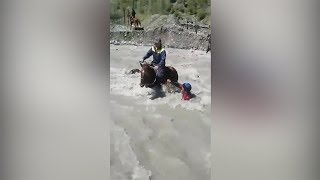 Сузакта Көк-Арт дарыясына аты менен кошо аккан улакчы. Видео