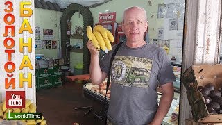 Влог. Что значит МАНЬЯНА в Аргентине. ЗОЛОТОЙ БАНАН и город Буэнос-Айрес