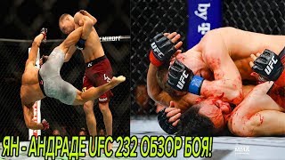 ПЕТР ЯН - ДУГЛАС СИЛЬВА ДЕ АНДРАДЕ UFC 232