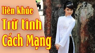 Bài Ca Không Quên - Những Ca Khúc Nhạc Trữ Tình Cách Mạng Hay Nhất Hiện Nay