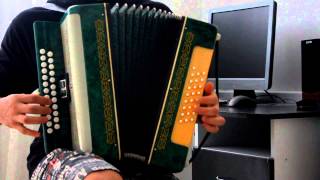 #Бумер. Мобильник. REMIX на гармошке.