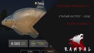 Русская Рыбалка 4! Старый Острог - Лещ!