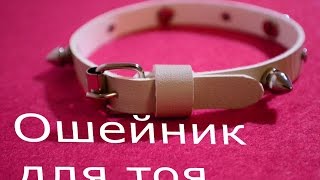 Ошейник из кожи своими руками