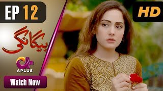 Drama | Begangi - Episode 12 | Aplus Dramas | Nausheen Ahmed, Shehroz Sabzwari, Asif Raza Mir