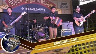 Conjunto Cats at The Tejano Conjunto Festival 2016