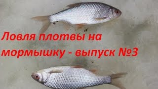 Ловля плотвы зимой на мормышку / Зимняя рыбалка на сорожку на Чепце/ Ловля плотвы со льда - выпуск№3