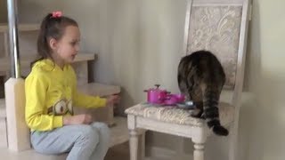 Открываем набор детской посуды, а кот и кролик мешают