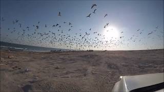 Oman - Capodanno tra deserto e oceano Indiano
