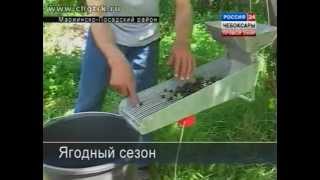 Устройство для очистки ягод от мусора. ТВ