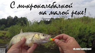 Летом с микроколебалкой на малой реке. УЛ спиннинг. Ловля голавля на блесну. Июль 2016.
