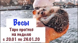 Весы _ гороскоп таро на неделю с 20.01 по 26.01.20 _ Таро прогноз