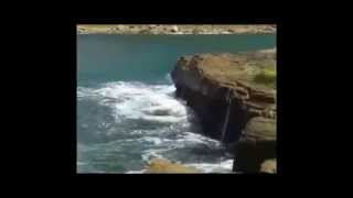 Miley Cyrus/Mika/Empire of the sun/Fishing Man Catches big fish part1 Coal Cliff Sydney Australia