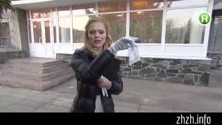 zhzh.info Ревизор Ольга Фреймут в Житомире 2013