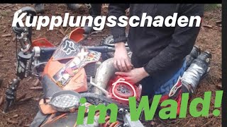 Spazierfahrt im örtlichen Forst