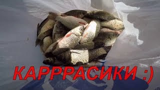 Рыбалка на Карася. Май 2019. Днестровский лиман