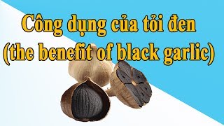 12 Công dụng của tỏi đen thân kỳ ra sao? Cách làm tỏi đen tại nhà như nào?  Rượu tỏi ngâm mật ong
