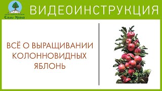Колоновидные яблони. Сады Урала. Телепередача Земля Уральская. Архив 2011 год