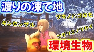 【MHWI】渡りの凍て地で環境生物捕獲回♪【モンハンアイスボーン２人実況】