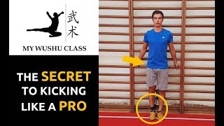 Kick Faster and Stronger in Wushu