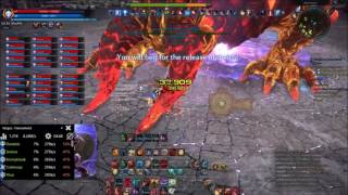 Tera 30-man Raid Stage 4 Lancer PoV