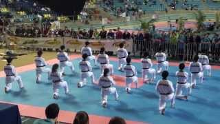 Kukkiwon Taekwondo Demonstration (2013 Belgian Open)