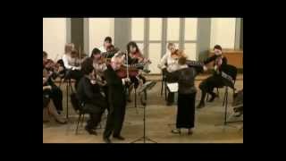 Bach Concerto for Viola and Chamber Orchestra / part 2