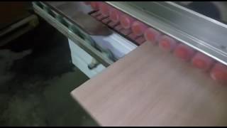 Кромкооблицовочный станок Sunghwa SHEB 4200