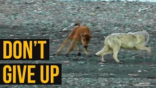 Life Lessons I Don't Give Up