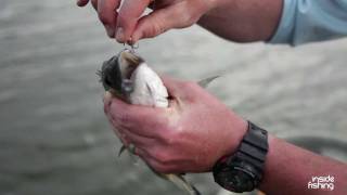 Inside Fishing: Bream on Surface lures