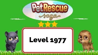Pet Rescue Saga Level 1977 - No Boosters