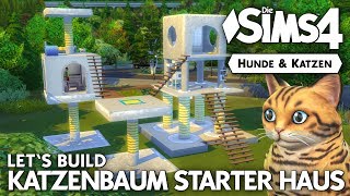 Katzenbaum Starter Haus bauen | Die Sims 4 Hunde & Katzen Let's Build