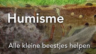 Humisme   Alle kleine beestjes helpen