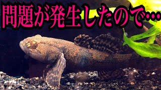 問題が発生しました。〇〇を使って対応する！
