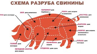 ?? Разруб свинины (Выгодный). meat cutting, meat, butcher, 肉,切肉,屠夫,猪肉,牛肉,羊肉,鸡,係食物呀！