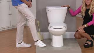 S/2 Invisibrush Hidden Toilet Brush & Storage Caddy by Lori Greiner on QVC