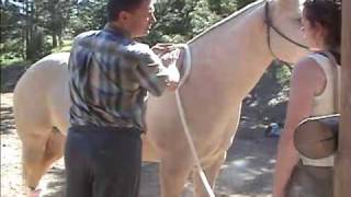 Magnetic Horse PEMF Therapy