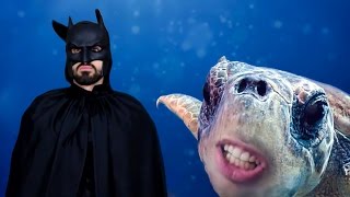 BEN BATMAN OLUCAM! - ŞARKI