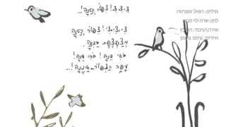 ציף ציף ציף ציפור קטנה  -  רפי כץ