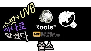 [30초]스팟+UVB 일체형 거북이용 램프, UVB 방출량을 재보자