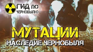 Животные мутанты Чернобыля - шокирующие кадры мутаций после аварии на ЧАЭС