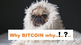 Bitcoin pulls back from $1500 but how far will Bitcoin fall?