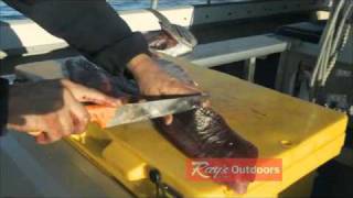 How to Fillet a Fish then Cook it!