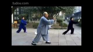 Wang Qing Yu - Traditional Yang Tai Chi Chuan