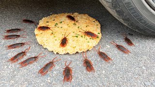 EXPERIMENT: COCKROACHES VS CAR - Crushing Crunchy & Soft Things by Car!